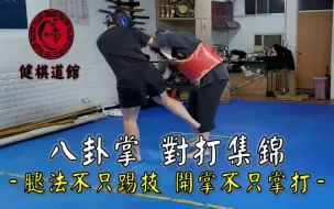 Download Video: 八卦掌對打集錦 腿法與掌法【傳武對打實戰】_形意拳八卦掌_健棋道館