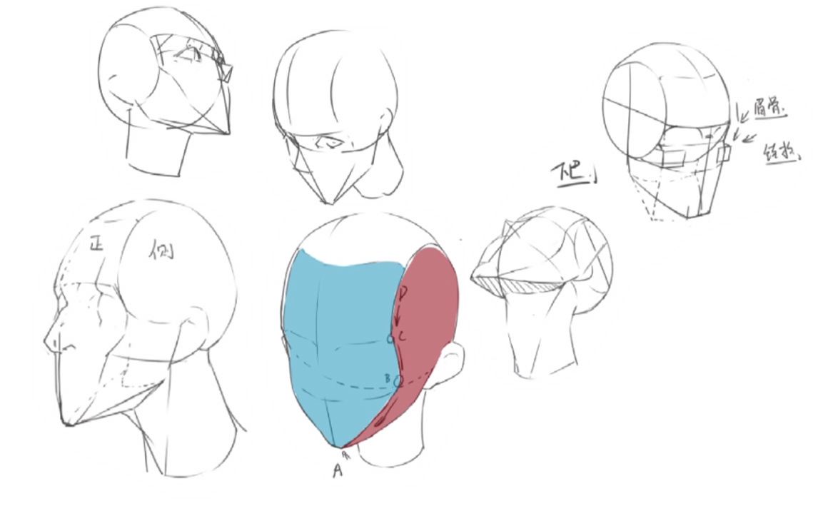 一般地方不会教你的画头脸方式!小白新手绘画学习入门必看!哔哩哔哩bilibili