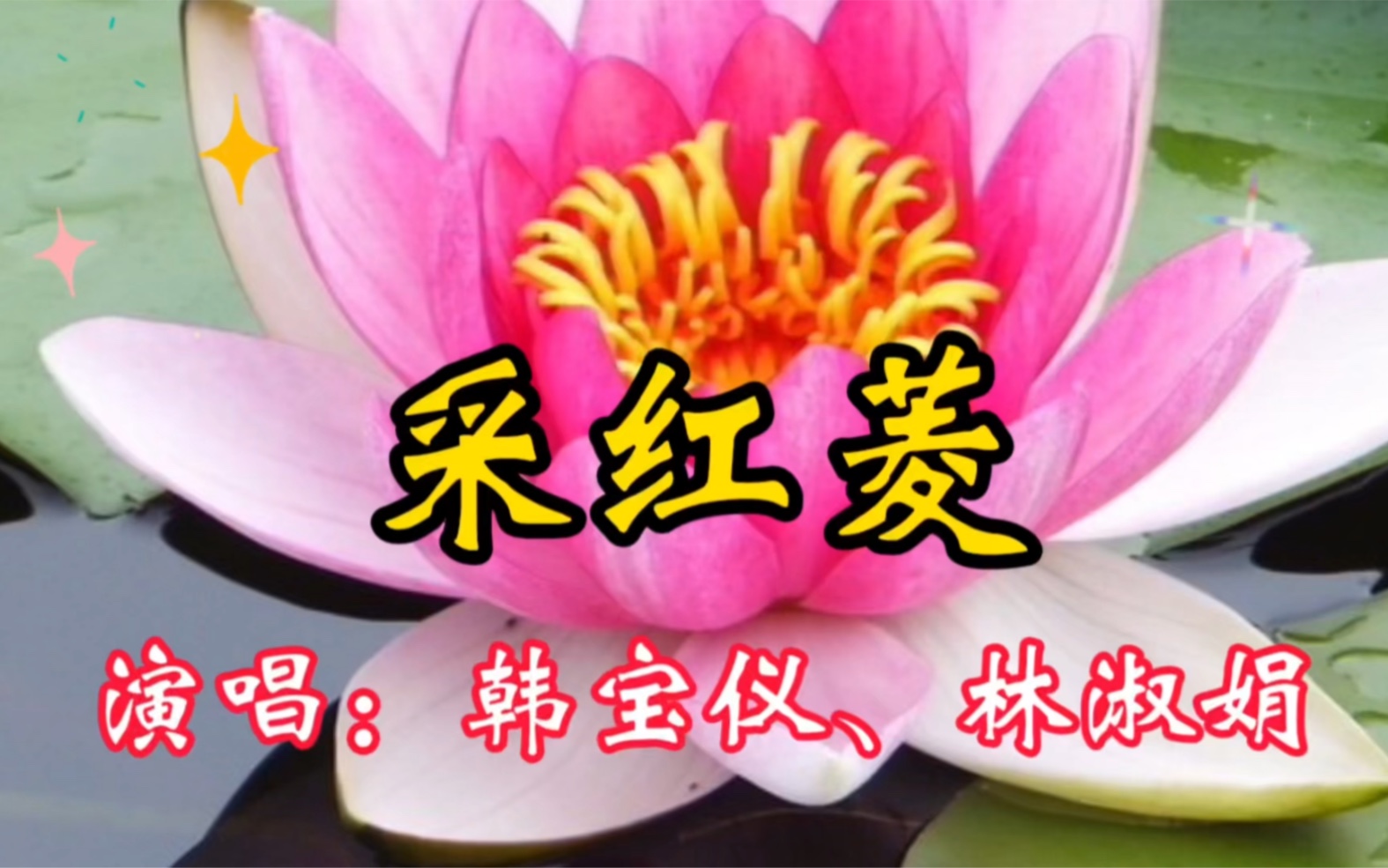 [图]韩宝仪/林淑娟演唱的《采红菱》：太好听了，悠扬婉转，欢快喜庆！