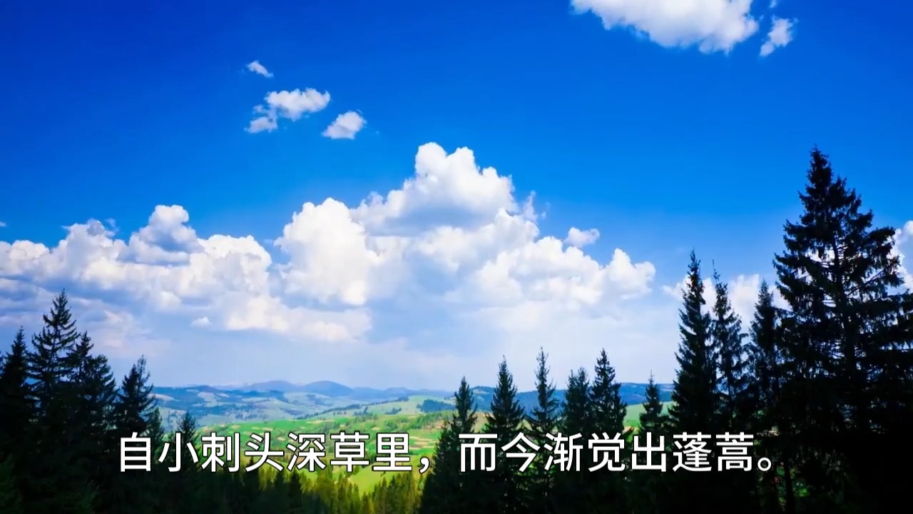 小松 唐 杜荀鹤哔哩哔哩bilibili