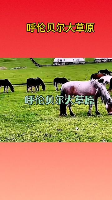 MV:《呼伦贝尔大草原》 作词克明/作曲乌兰托嘎/降央卓玛演唱哔哩哔哩bilibili