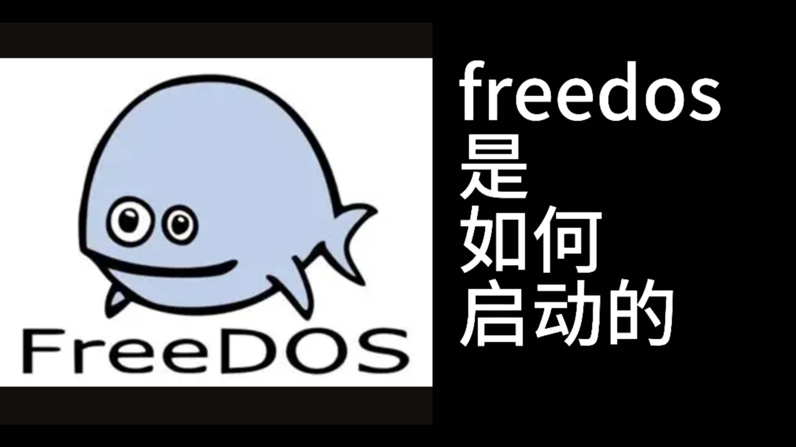 FreeDOS是如何启动的