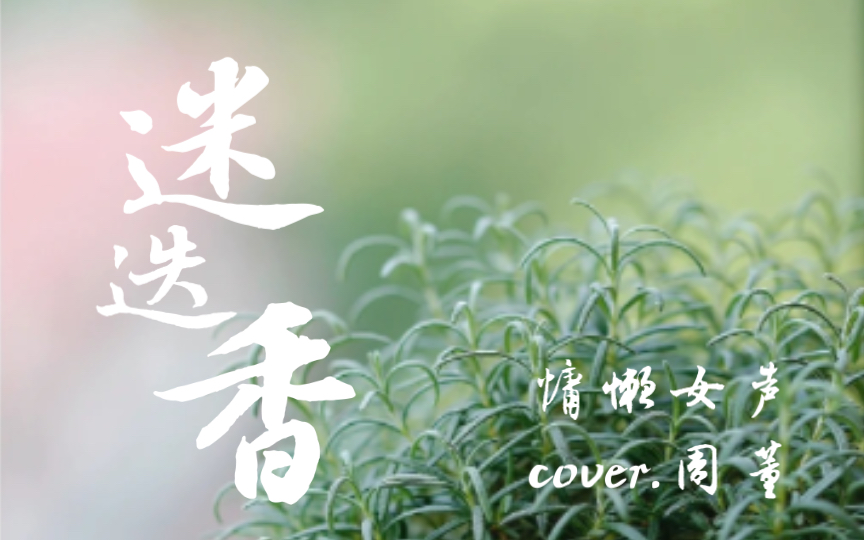 [图]慵懒女声｜小周cover.周董「迷迭香」-你随风飘扬的笑有迷迭香的味道