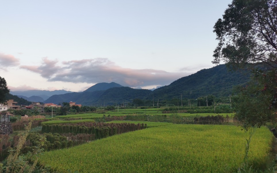 十月初的韶关枫湾镇的确很美