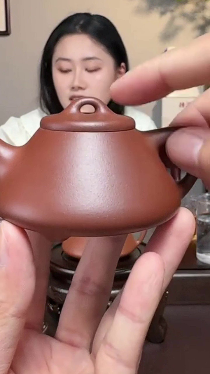 藏壶天下宜兴紫砂壶纯手工