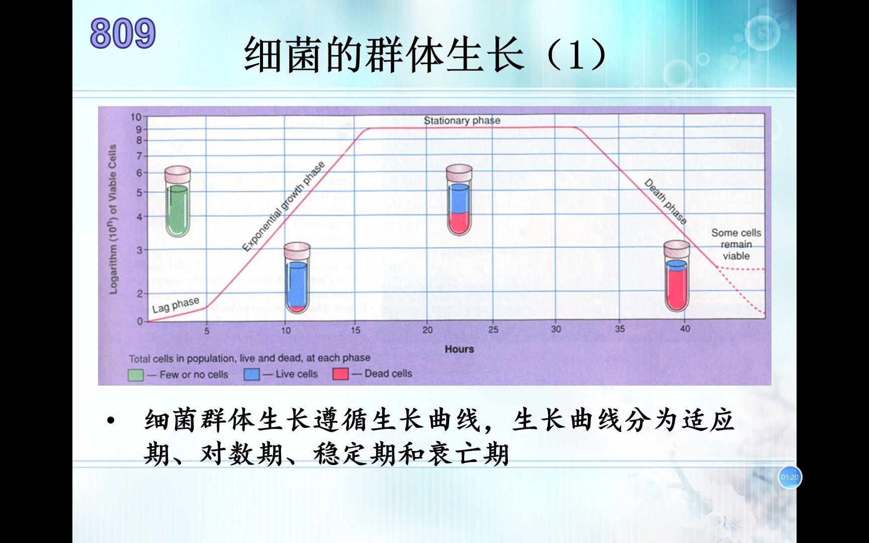 生物竞赛难点92微生物学细菌群体生长与生长曲线哔哩哔哩bilibili