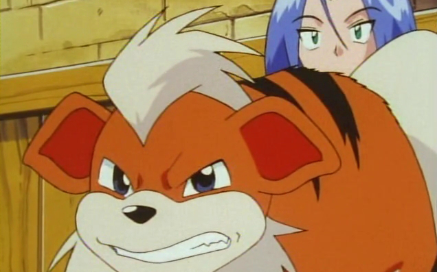 【宝可梦】卡蒂狗和小次郎