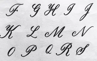 花体英语 哔哩哔哩 Bilibili