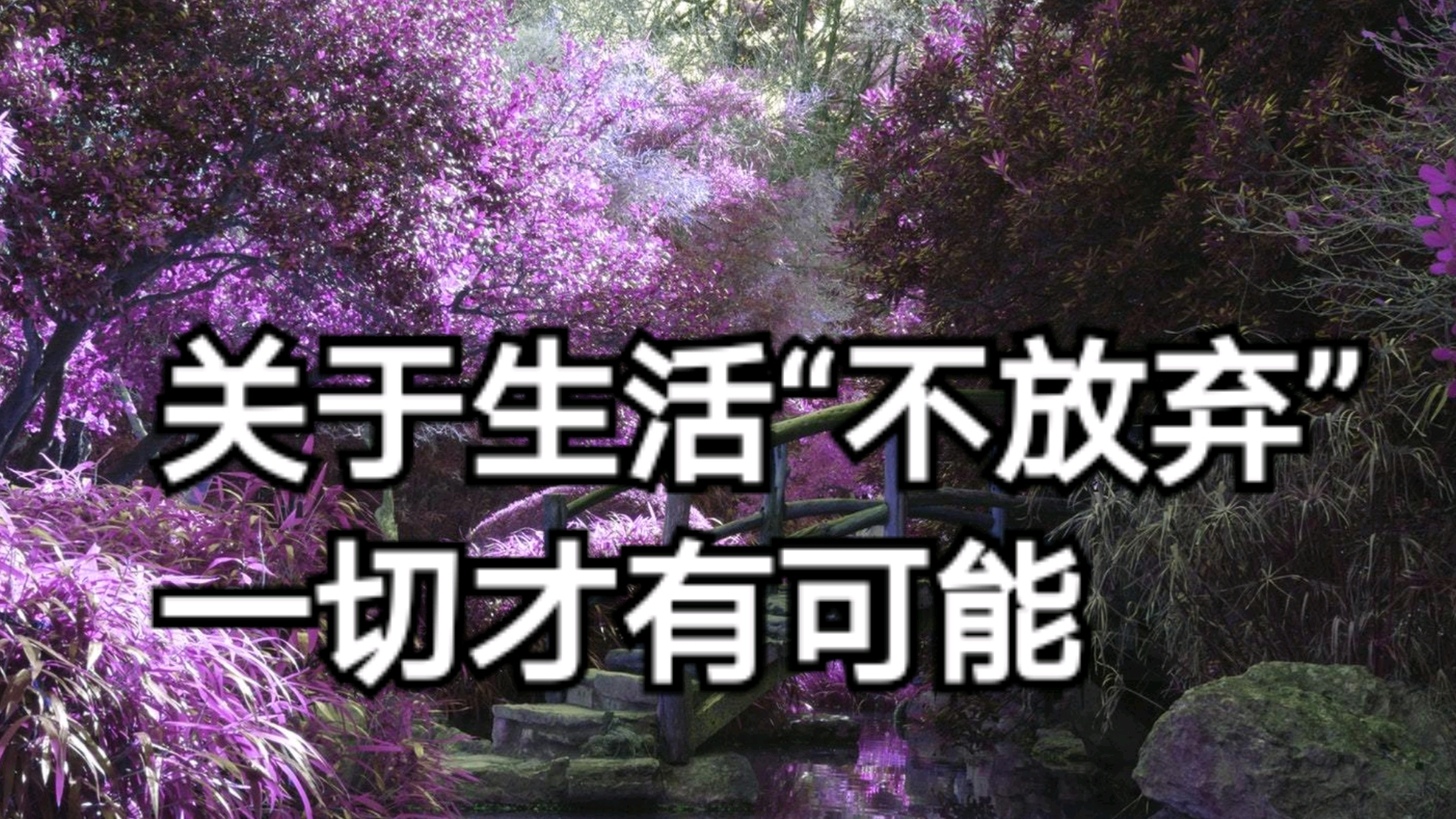 社会语录:关于生活"不放弃",一切才有可能