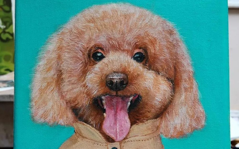 泰迪油画作品展示,每一个细节都好好品