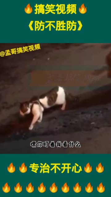 防不胜防哔哩哔哩bilibili