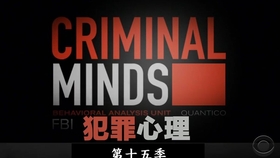 犯罪心理cm 第十三季s13 名言警句 哔哩哔哩 つロ干杯 Bilibili