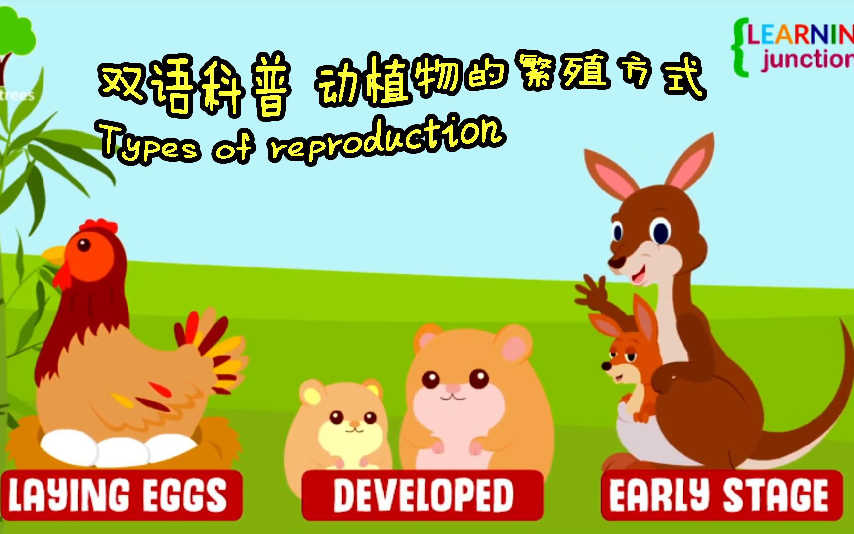 双语科普 动植物的繁殖方式 Types of reproduction哔哩哔哩bilibili