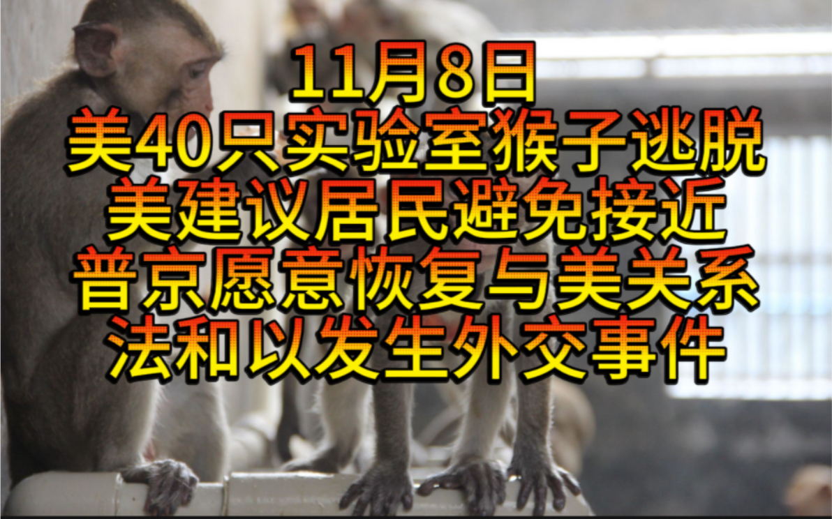 11月8日美40只生物实验室猴子逃脱,当地局建议居民避免接近,普京愿意和美国恢复关系,川普将会与普京通电话,莫桑比克全国多地爆发反政府抗议出...