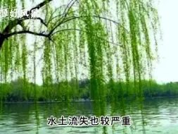 Download Video: 丹江口水库消落带林业治理模式