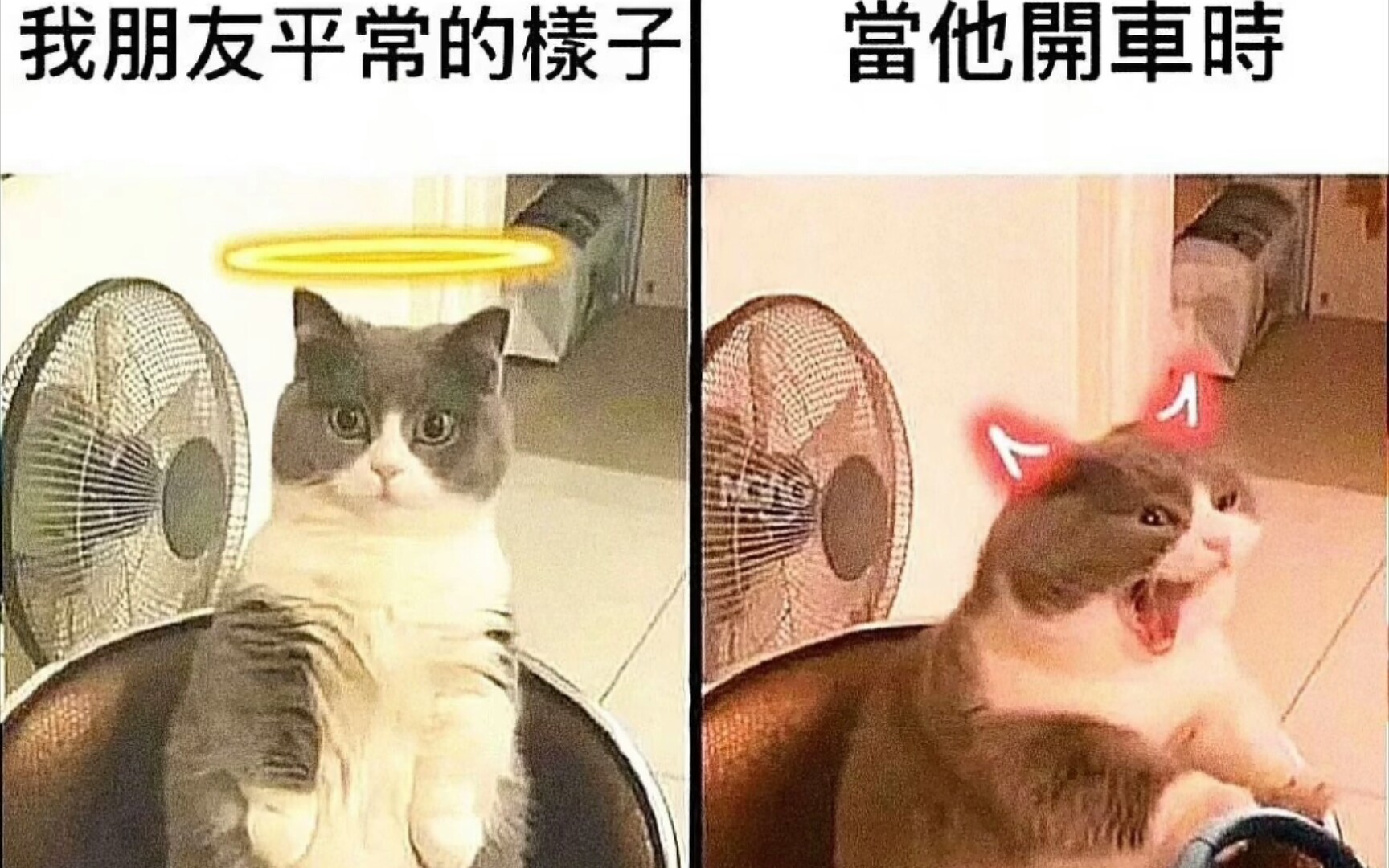 人间真实系列沙雕梗图