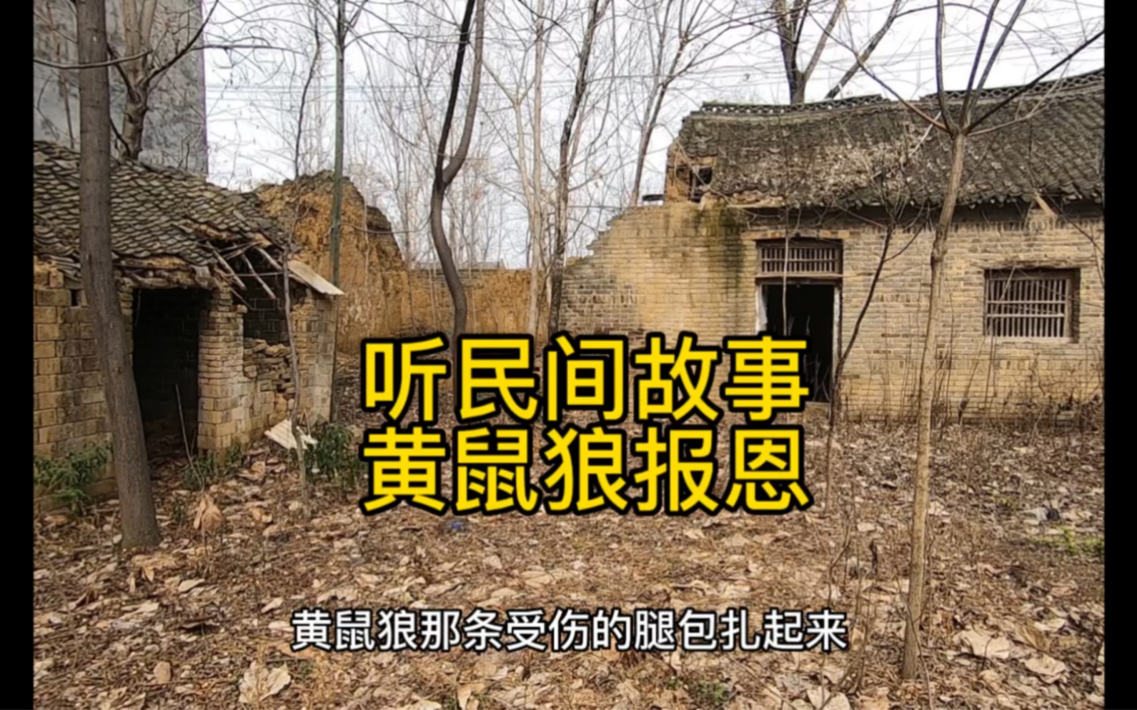 民间故事(黄鼠狼报恩)