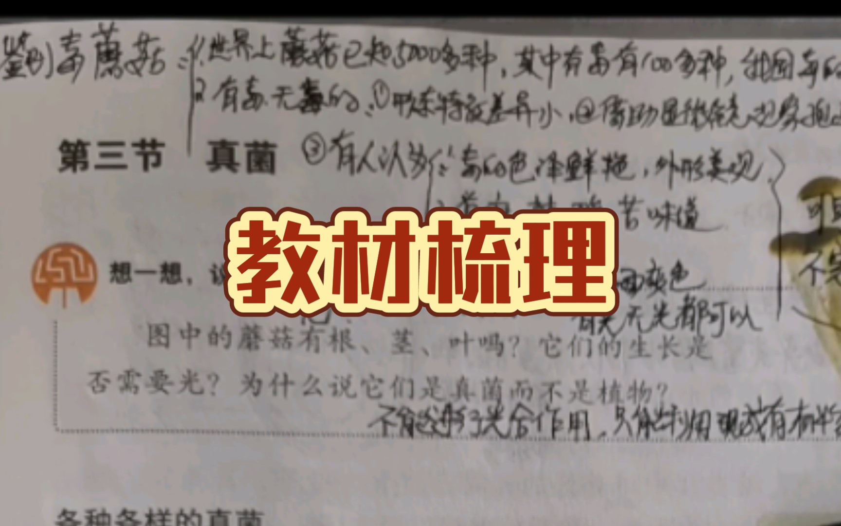 教材梳理//第四章第三节 真菌(人教版初中生物八年级上册)哔哩哔哩bilibili