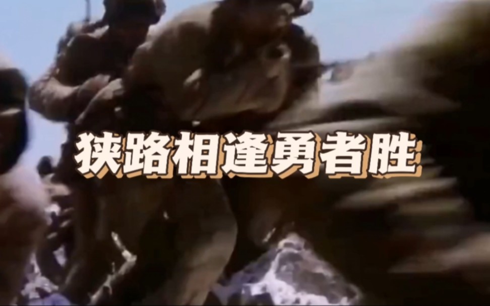 狭路相逢勇者胜