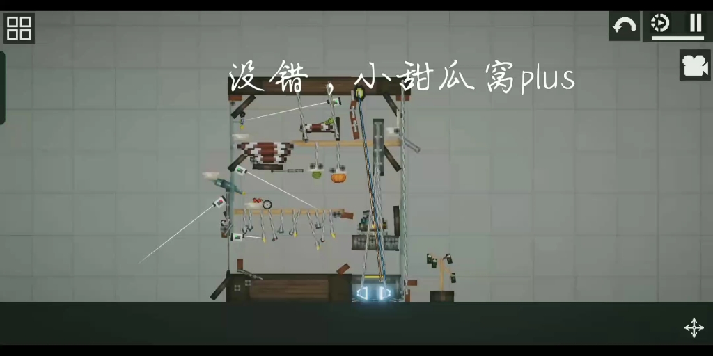 宠物窝plus哔哩哔哩bilibili