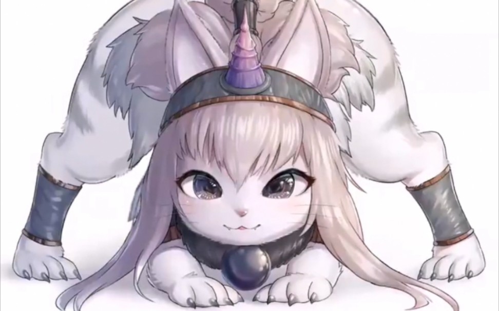 可爱的艾露猫在做奇怪的姿势