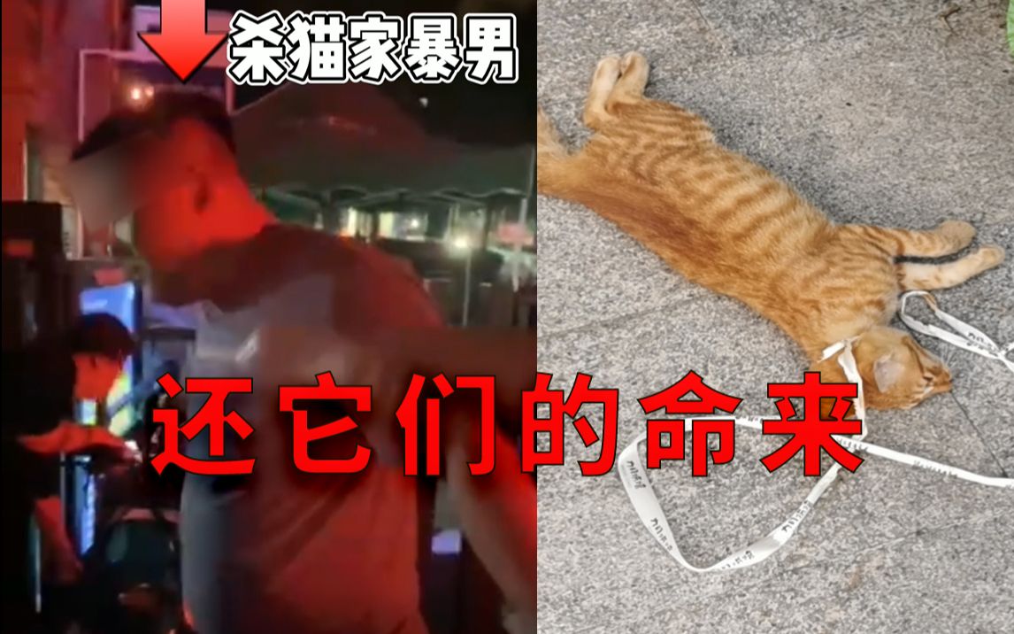 [图]家暴男送奶工，虐杀两只流浪猫，拖猫尸体送奶，被群众抓获！气焰嚣张：大不了我买两只赔过来了！