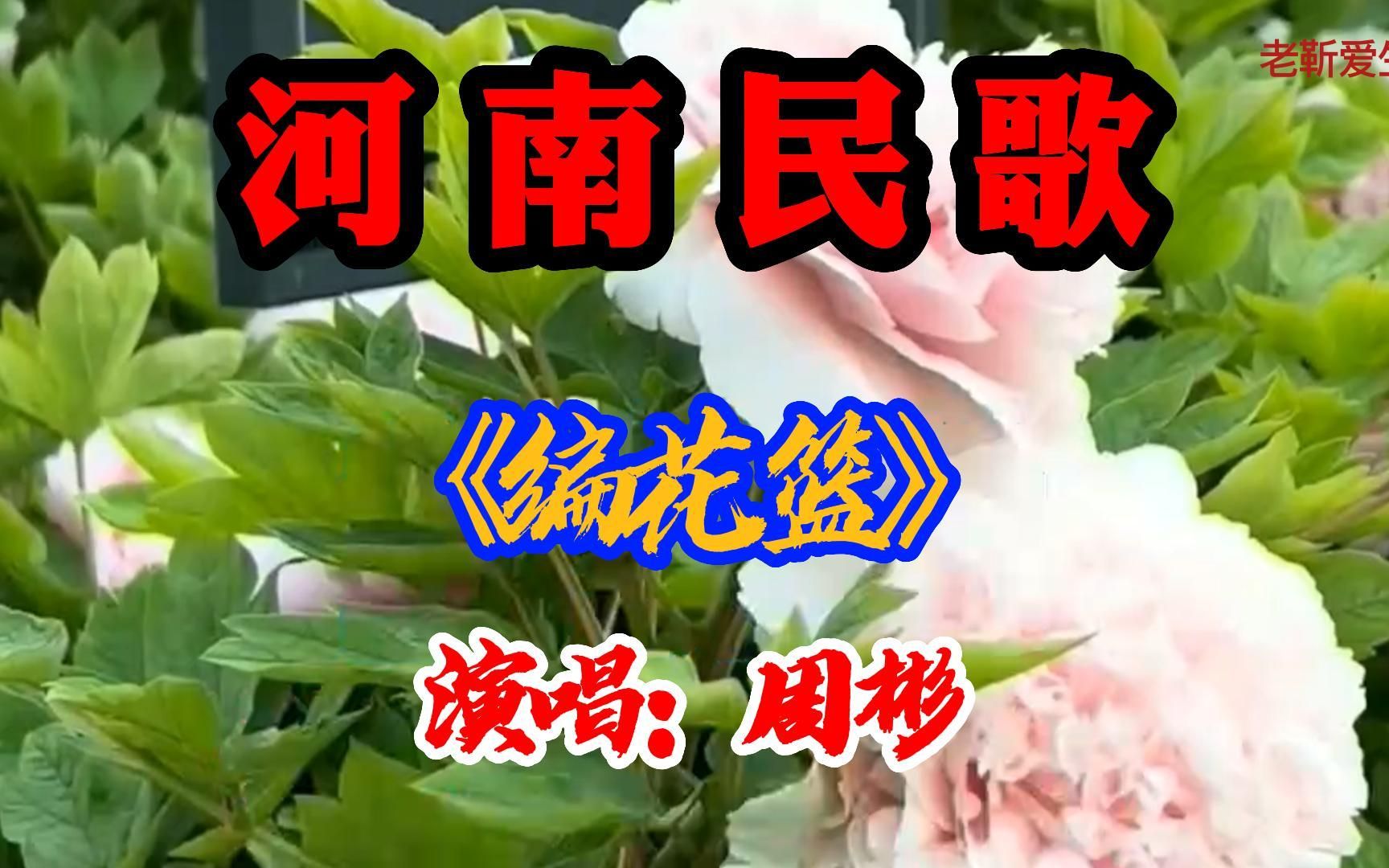 [图]河南民歌：《编花篮》