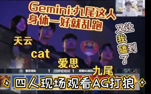 Download Video: Gemini:这九尾，身体一好就乱跑