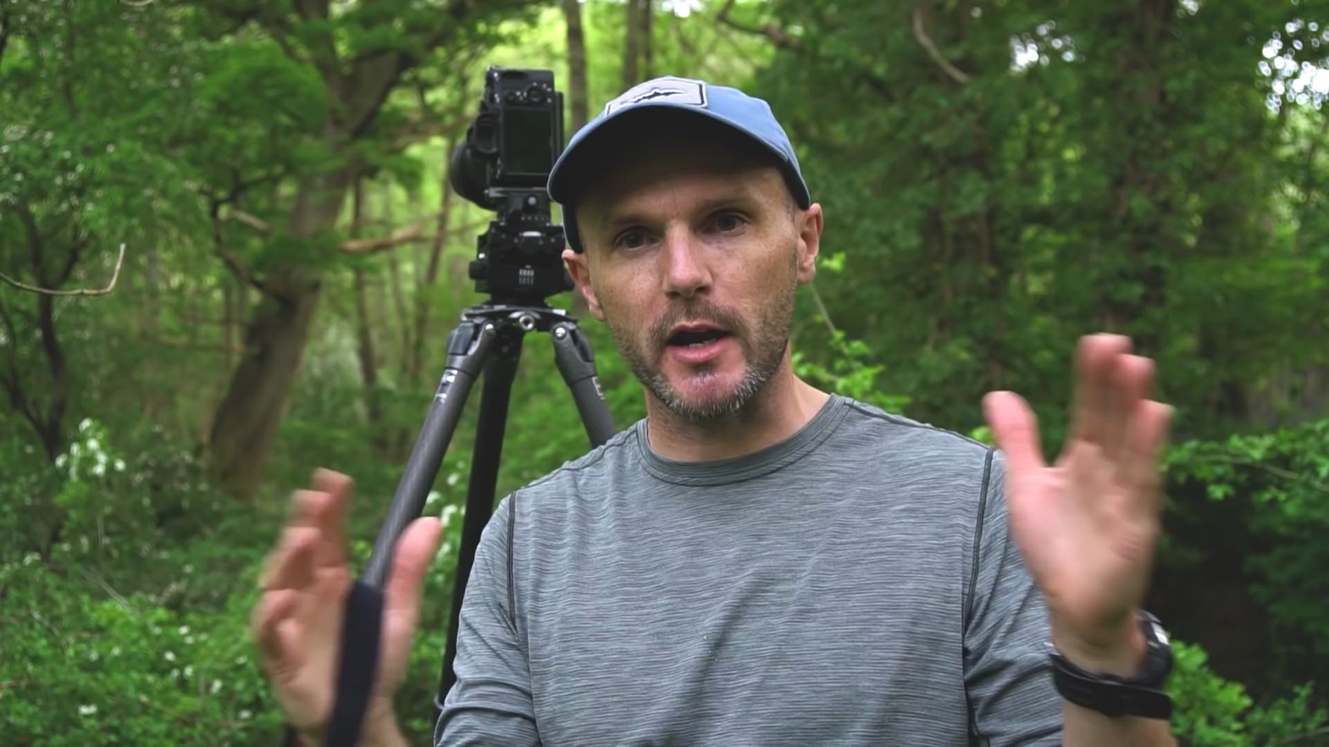 森林摄影油管大神simonbaxter带你走进深林分享拍摄心得