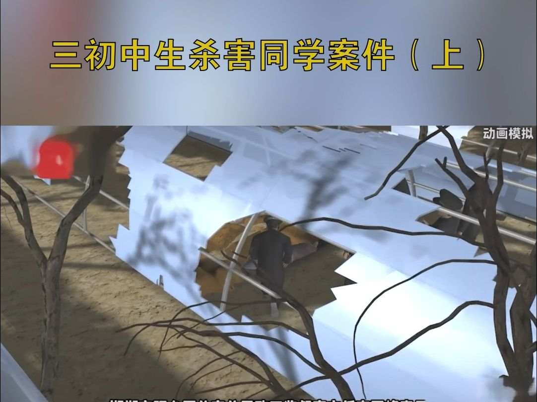 一战成名新中考视野看热点——三初中生杀害同学(上)