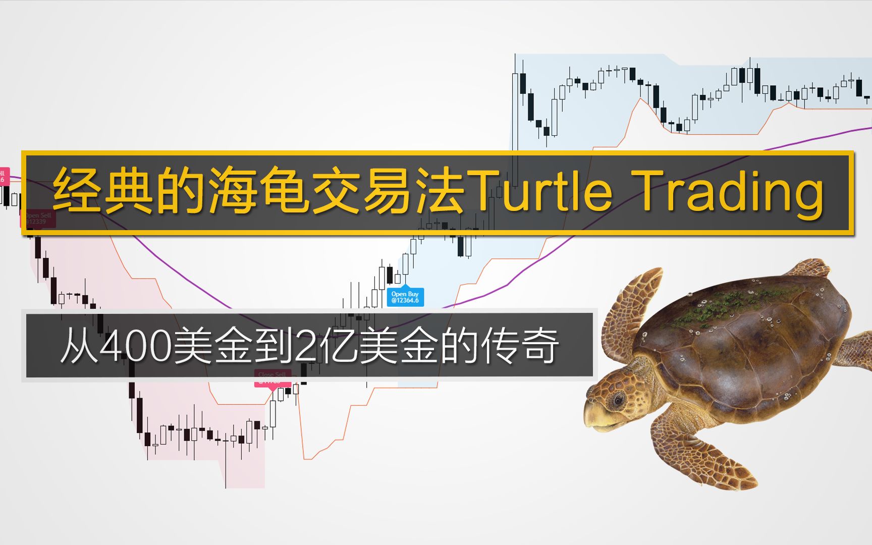 经典的海龟交易法Turtle Trading,从400美金到2亿美金的传奇哔哩哔哩bilibili