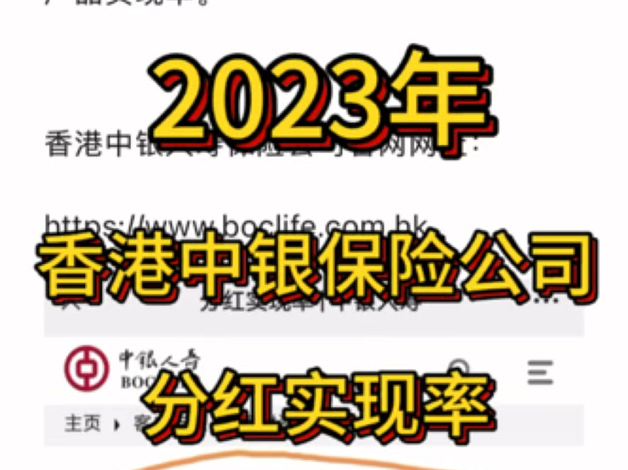 香港中银保险公司,2023年官网公布的分红实现率哔哩哔哩bilibili