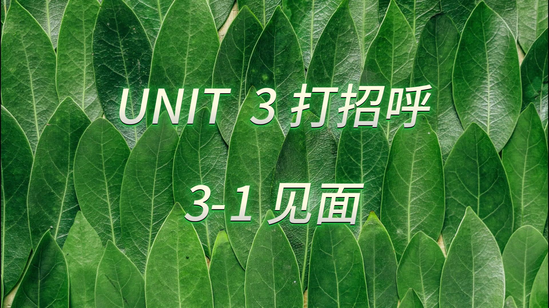 unit 3 打招呼 3-1 见面