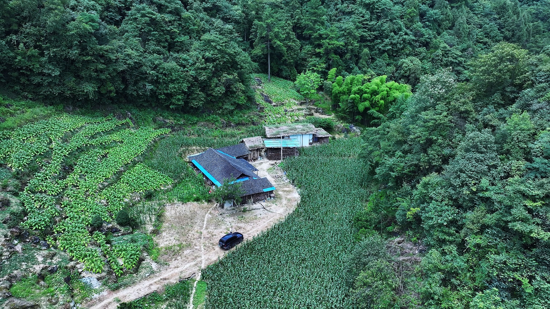 重庆大山悬崖上的独居人家,种地养殖年入10万,真是勤劳的一家人哔哩哔哩bilibili