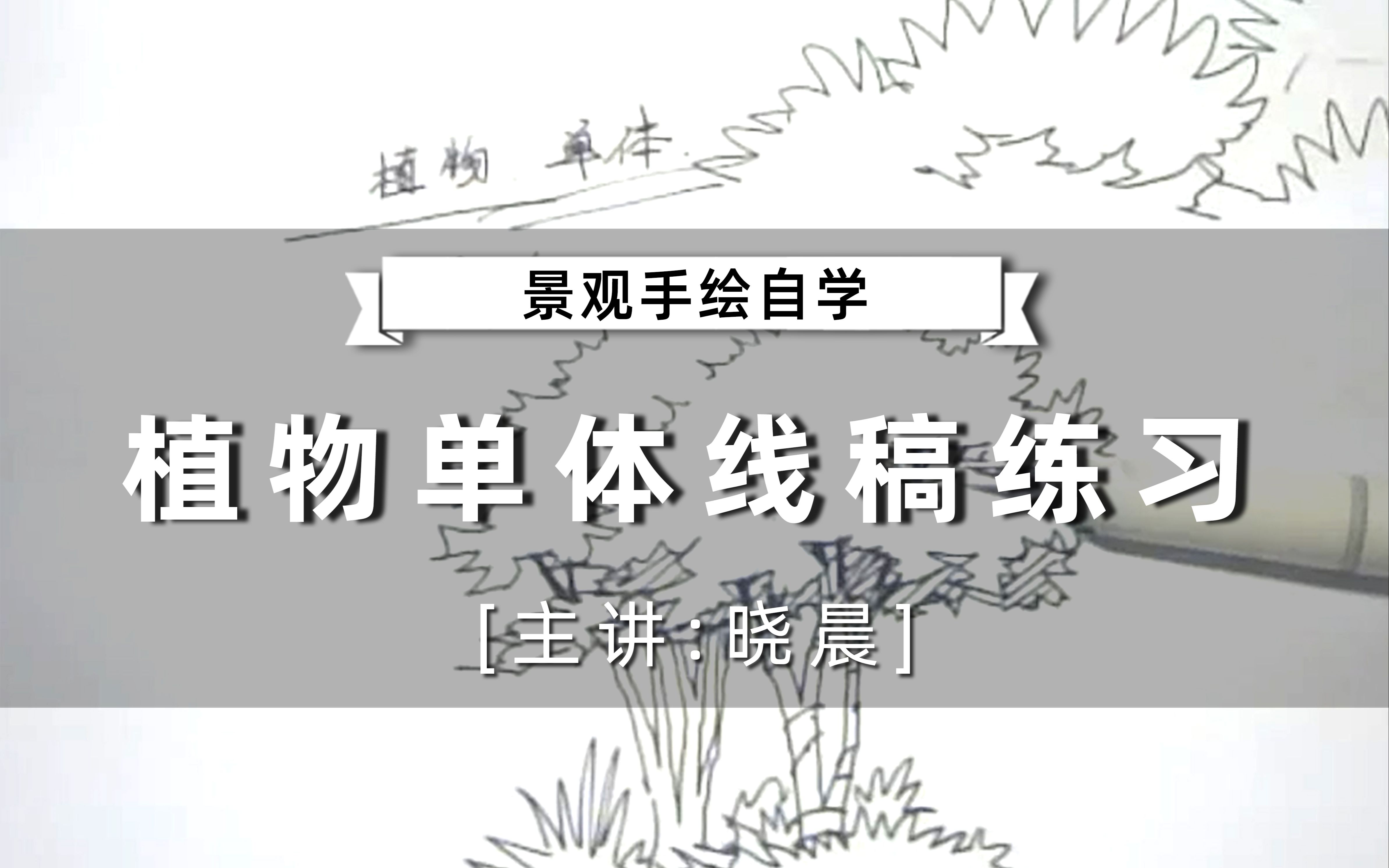 【景观手绘自学】植物单体线稿基础教学!(轻筑学社)哔哩哔哩bilibili