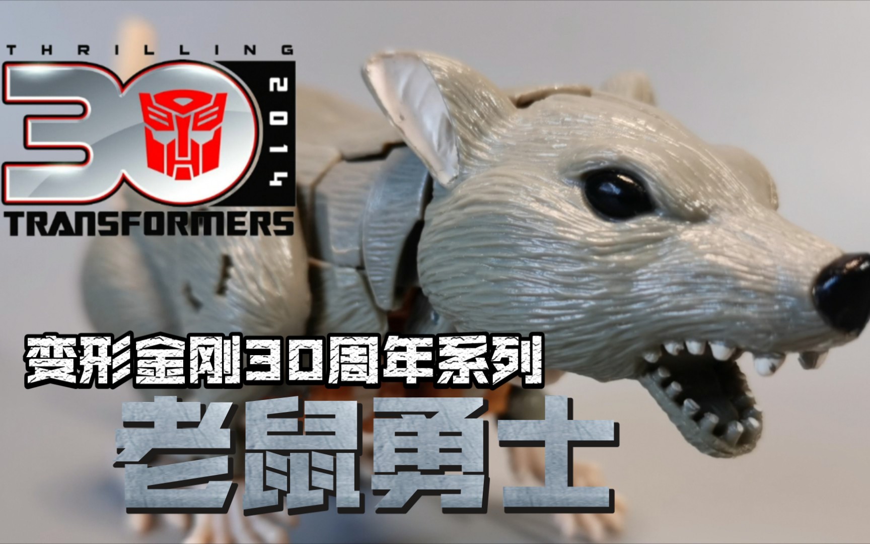 第99期老鼠勇士变形金刚三十周年idw精灵鼠