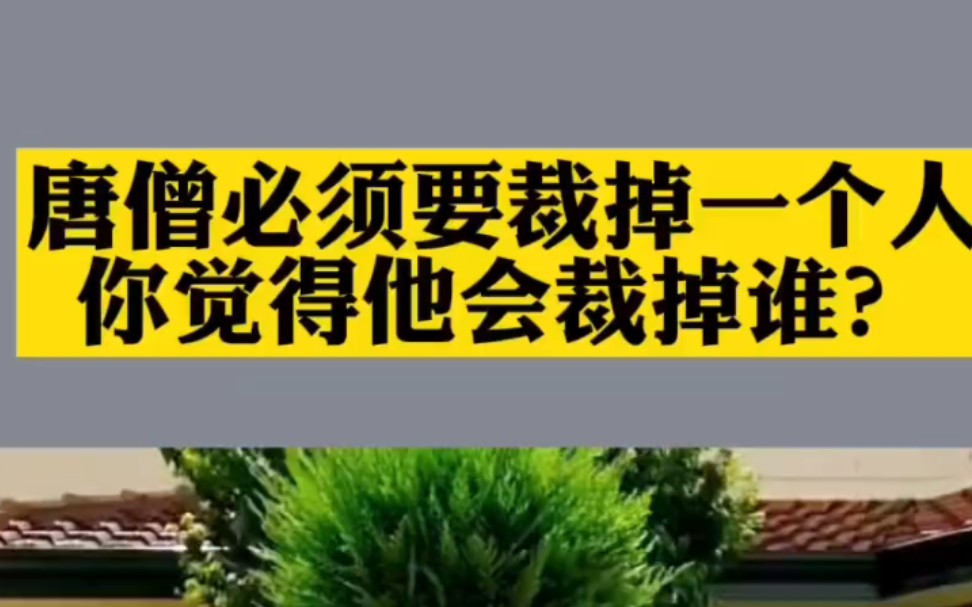 【职场裁员】唐僧必须要裁掉一个人,你觉得他会裁掉谁?哔哩哔哩bilibili