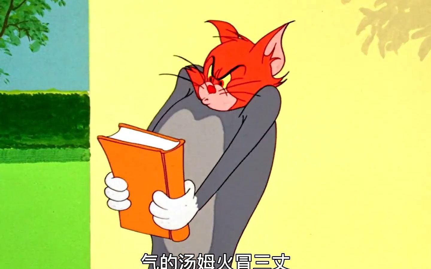 红头巨猫汤姆的尴尬瞬间