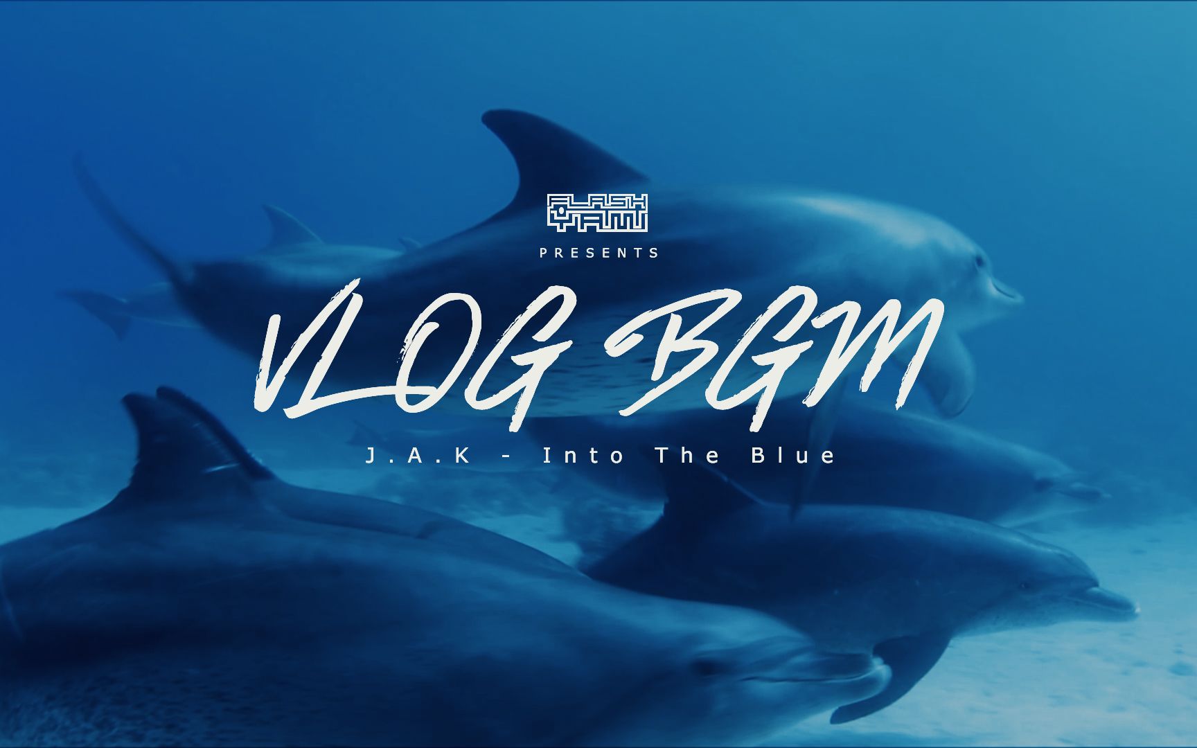 [VLOG必备BGM] J.A.K  Into The Blue 背景音乐 免费版权 内附下载 碧蓝之海 潜水 海豚哔哩哔哩bilibili