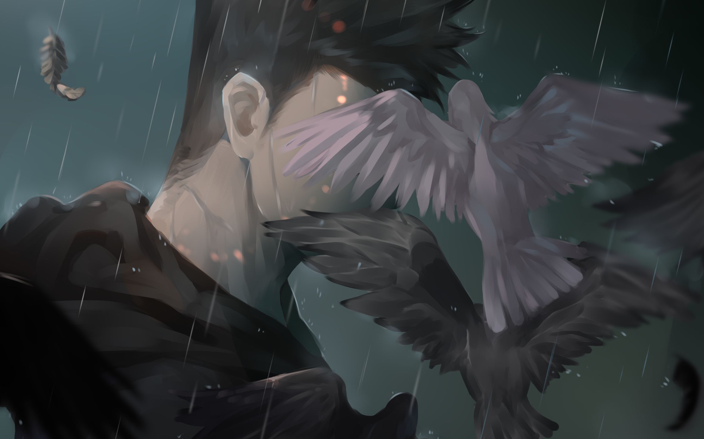 【sai2】黑鸽撞脸——绘画过程