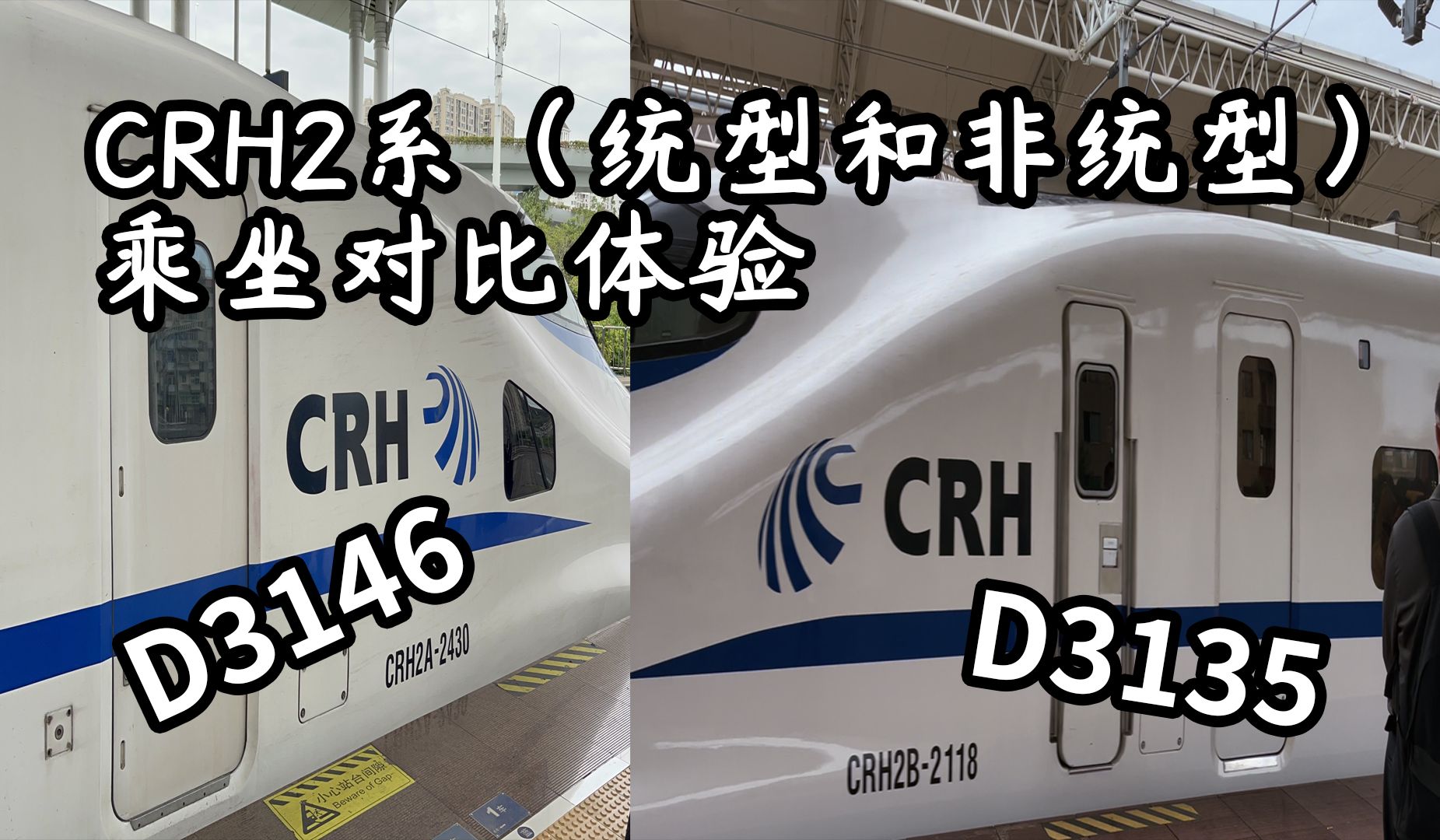 CRH2型车(统型与非统型)乘坐对比体验feat.苍南福州之间往返运转(D3135、D3146)哔哩哔哩bilibili