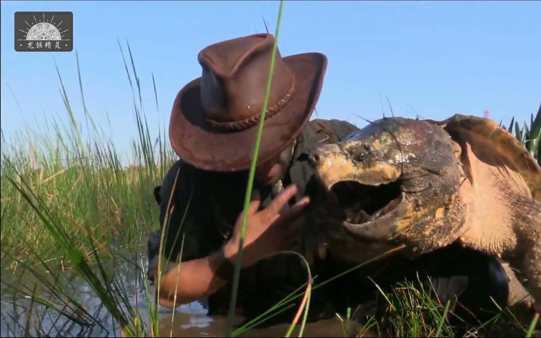 【野捕真鳄龟】土狼彼得森 野抓180斤原种真鳄龟-原版超清1080p