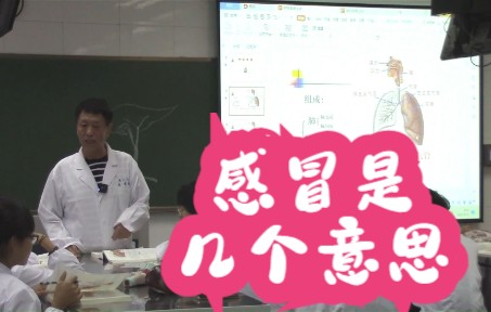 感冒是咋回事 呼吸系统 系统解剖学哔哩哔哩bilibili