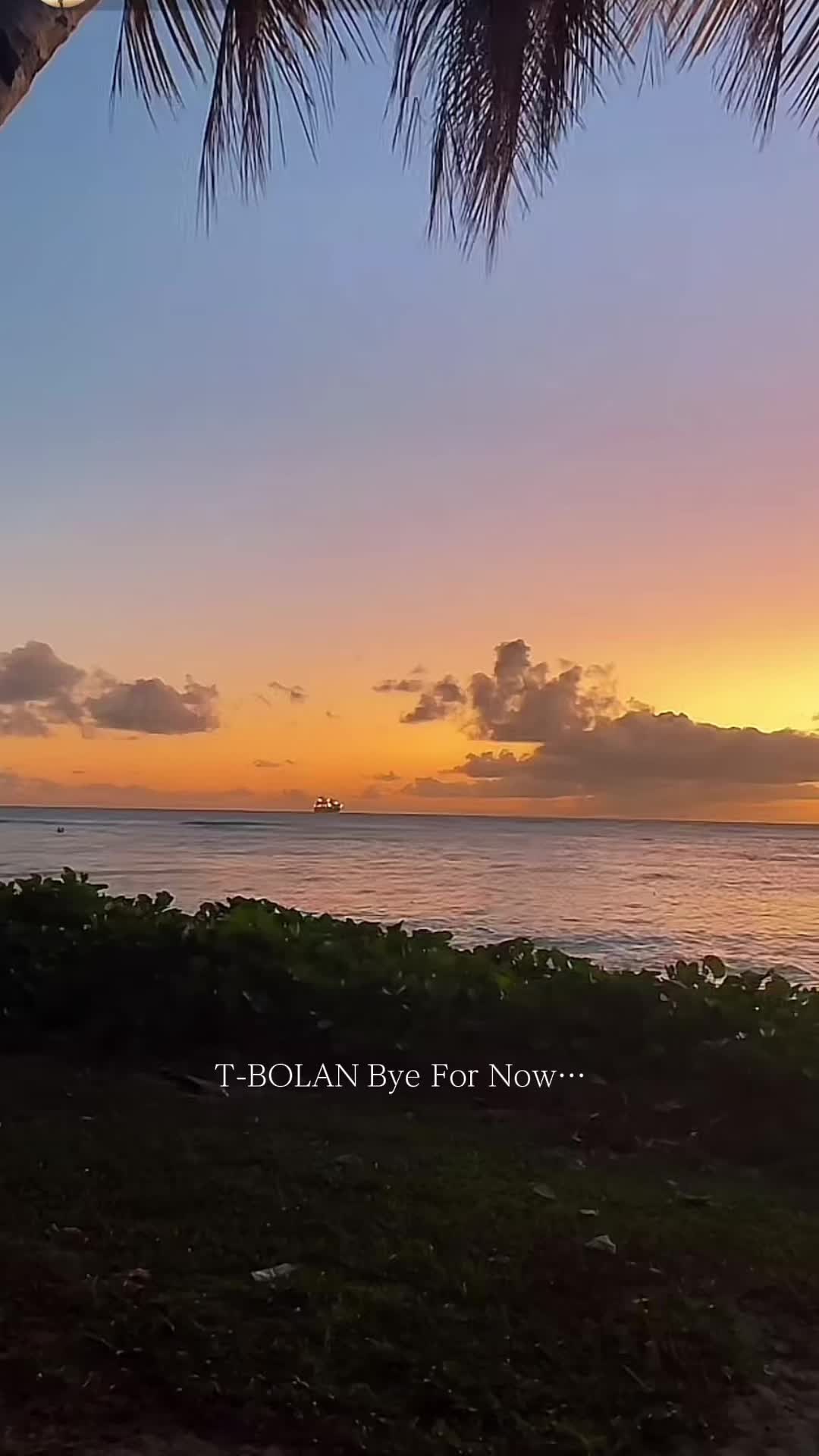 1992年 #byefornow #tbolan #歌词动画 #塞班岛的日落