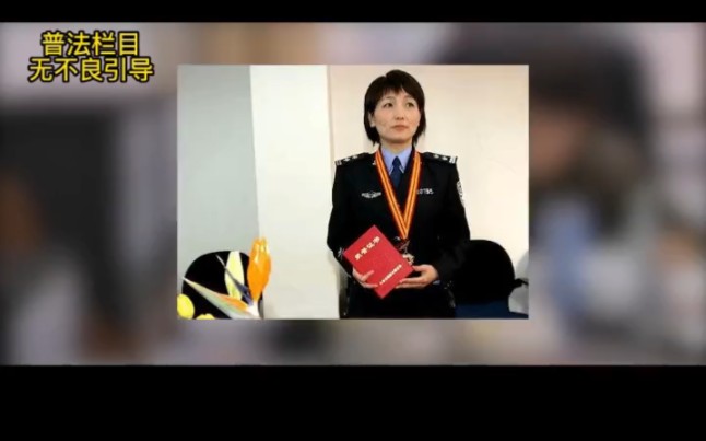 大案纪实:女神探聂海芬的“无懈可击哔哩哔哩bilibili