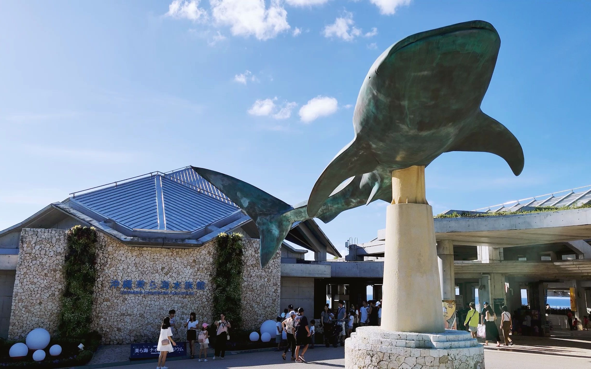 【海缸】冲绳美丽海水族馆