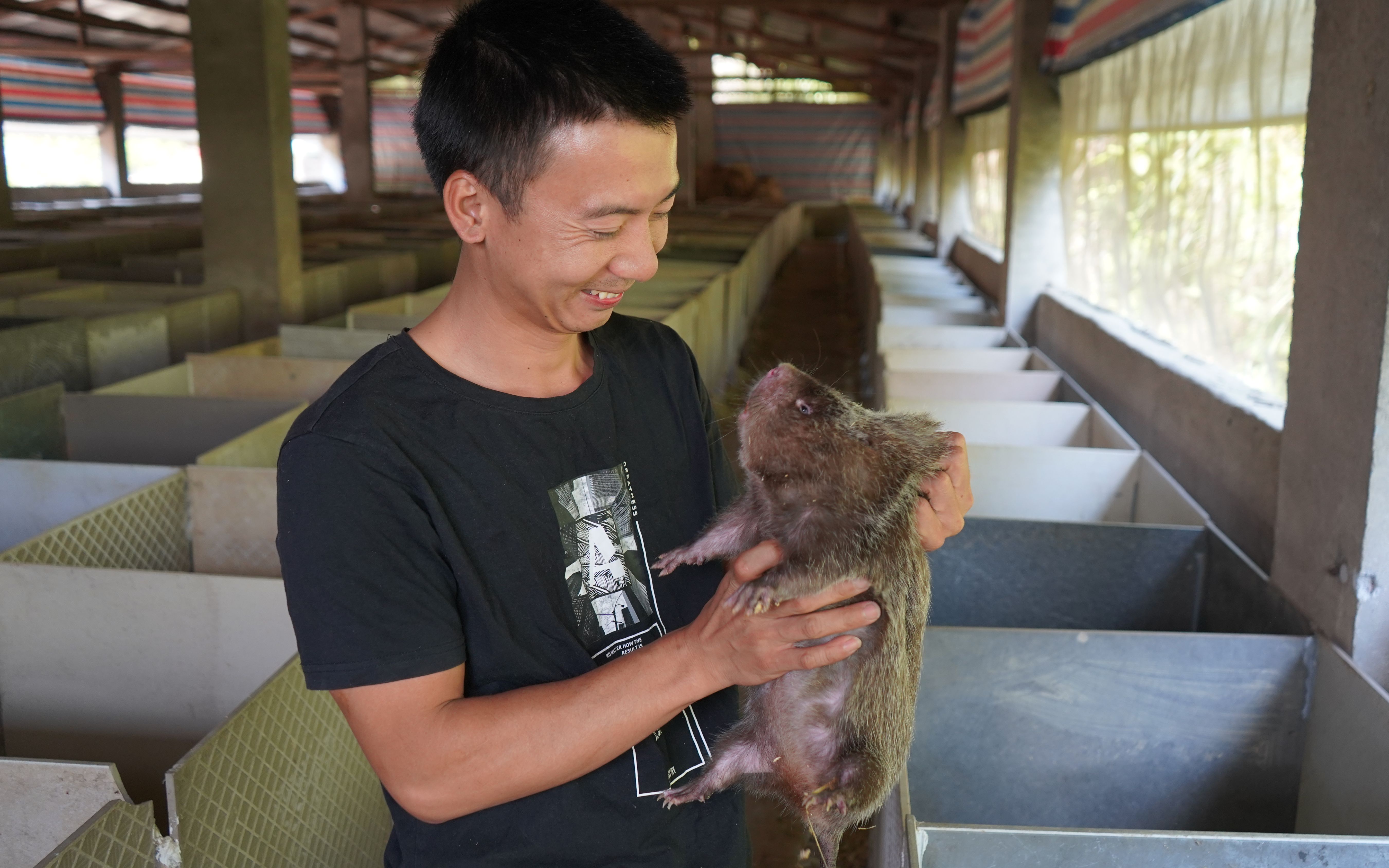 华农兄弟:外出几天,听说竹鼠小胖被宰了,我们去检查一下