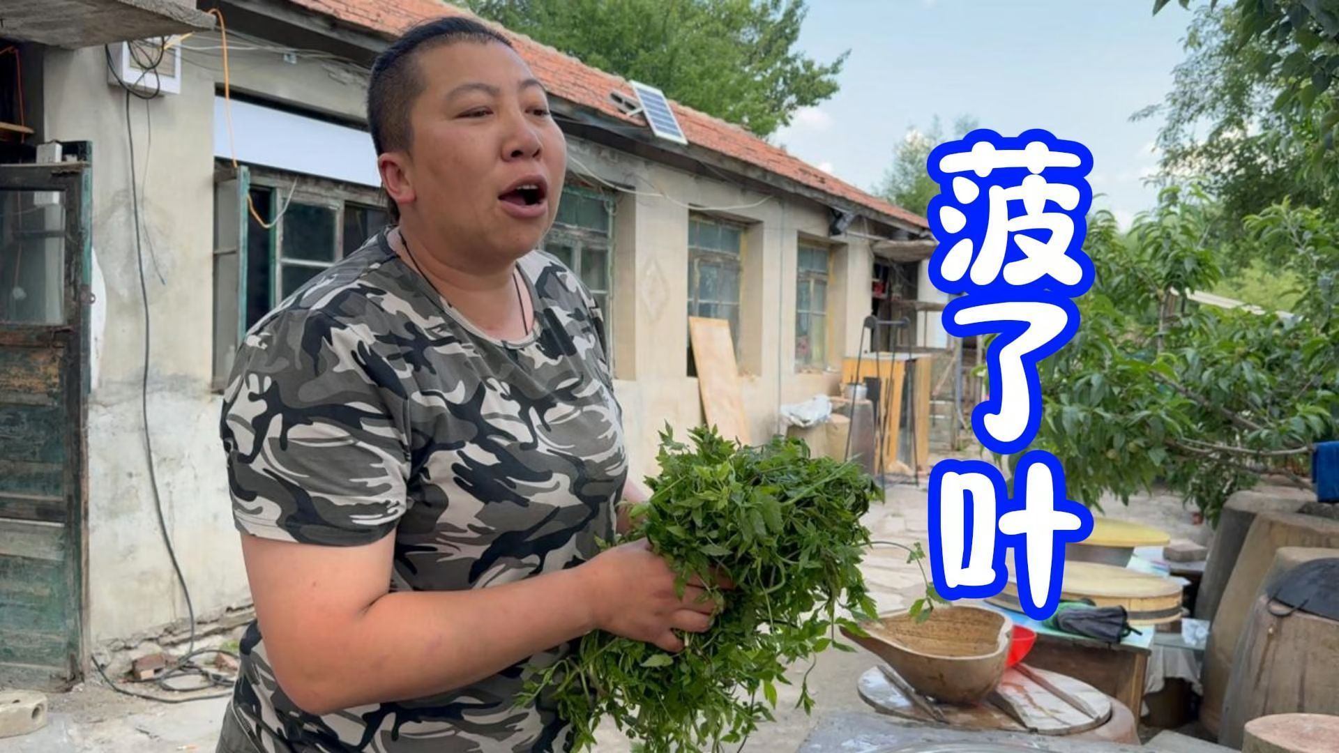 大山里树叶子都能做美食，老蒯为了加菜也是豁出去脸了-东北雨姐-东北雨姐-哔哩哔哩视频