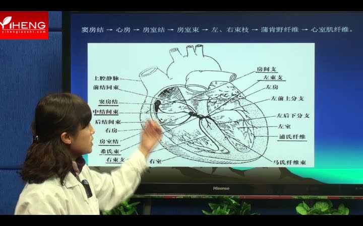 第四军医大学心电图(郭老师)哔哩哔哩bilibili