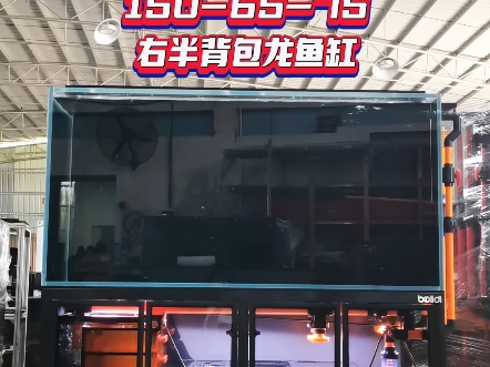 150-60-75右半背包龙鱼缸,黑色304不锈钢一体式焊接成型底架80高加门